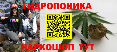 прущие грибы Беслан